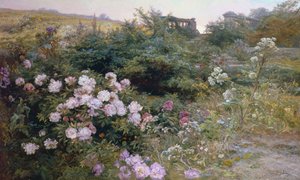 Tam Bloom